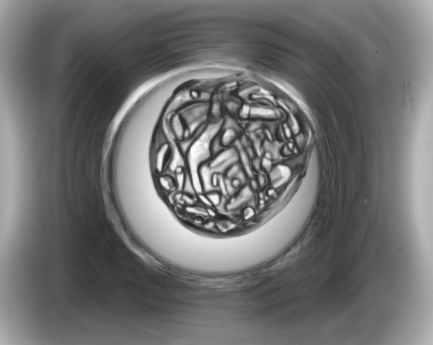 X0000085801128200704091444