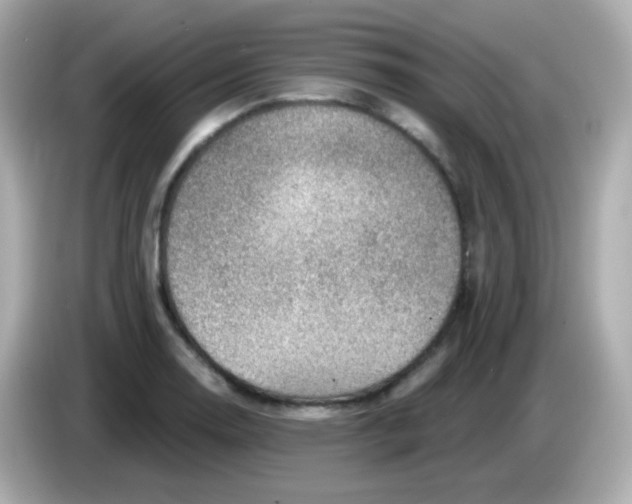 X0000085801130200704091444