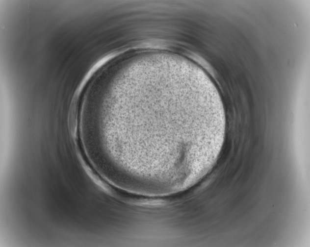 X0000085801131200704091444