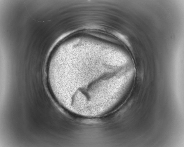 X0000085801133200704091444