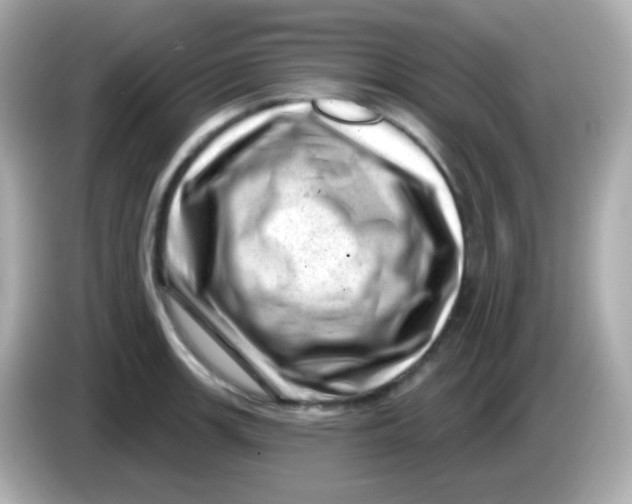 X0000085801139200704091444