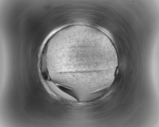 X0000085801144200704091444