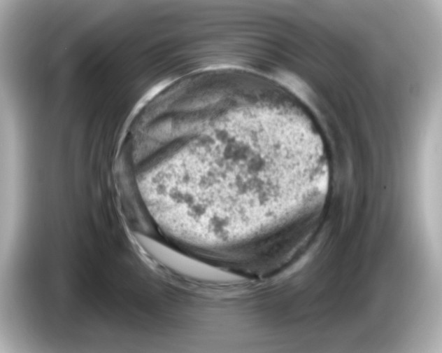 X0000085801145200704091444