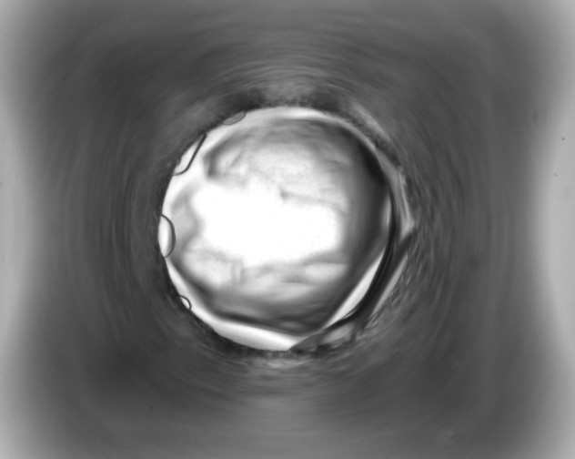 X0000085801153200704091443