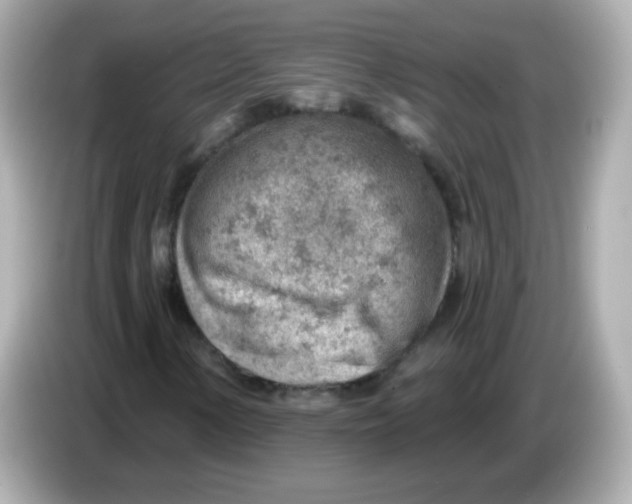 X0000085801154200704091443