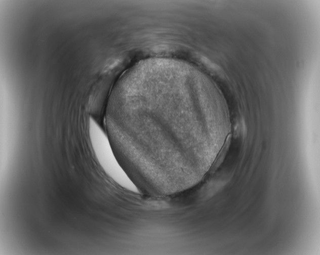 X0000085801156200704091443