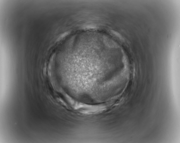 X0000085801157200704091443