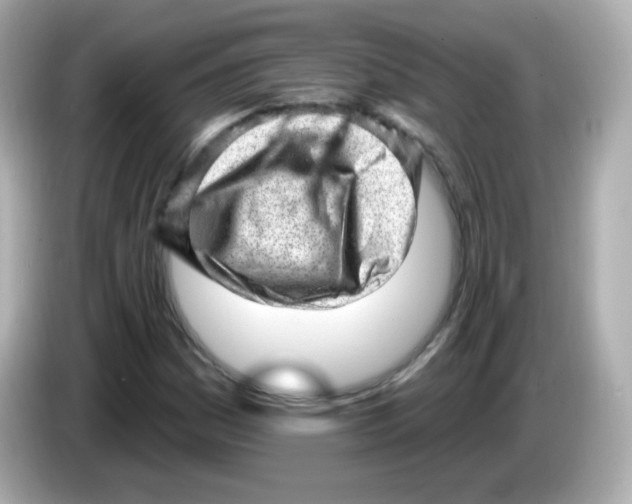 X0000085801161200704091443