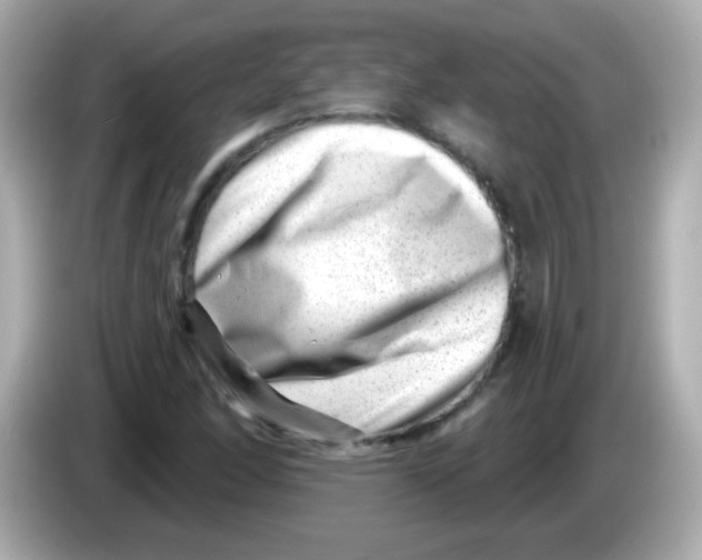 X0000085801166200704091443