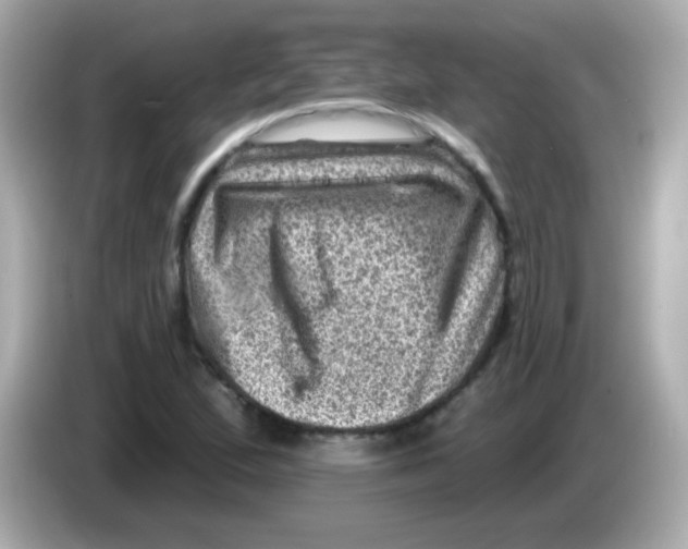 X0000085801167200704091443