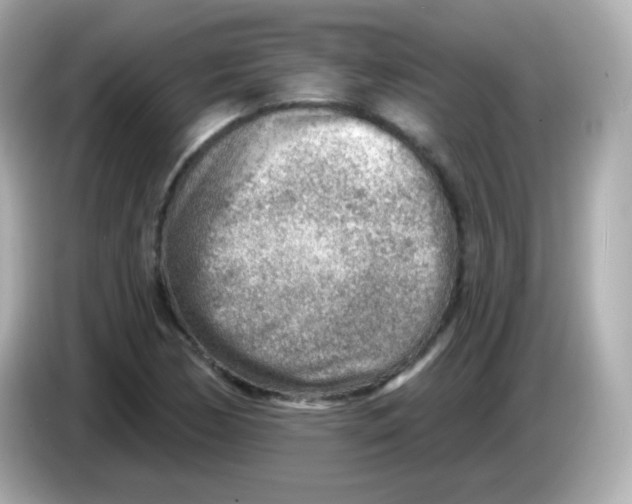 X0000085801170200704091443