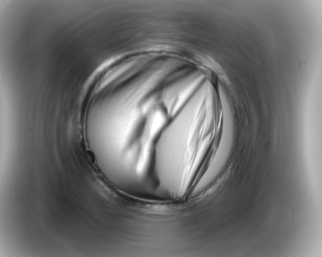 X0000085801172200704091443