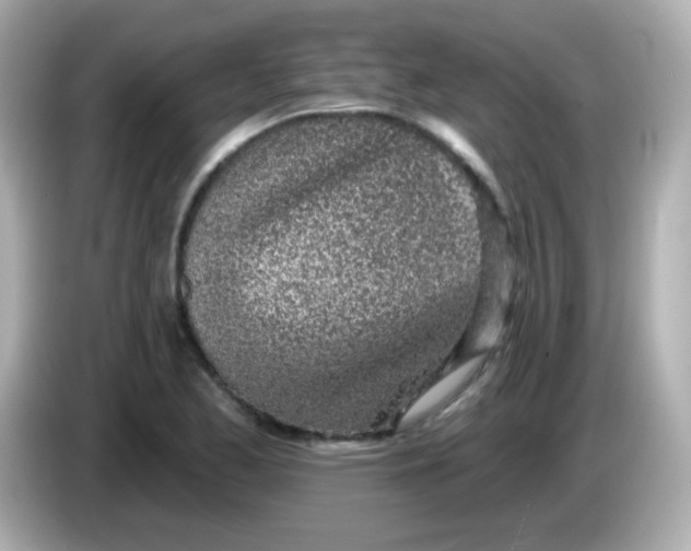 X0000085801173200704091443