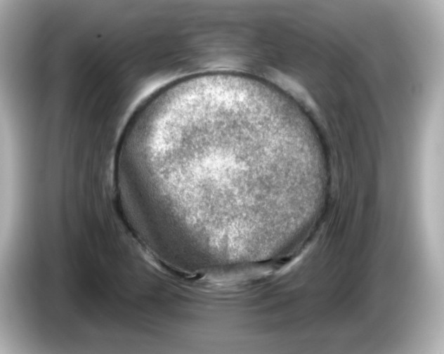 X0000085801174200704091443