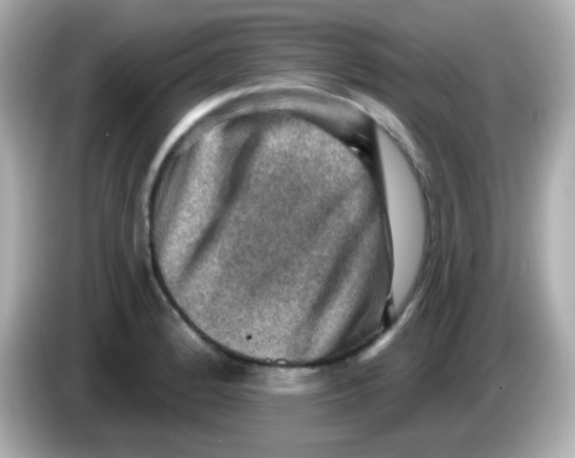 X0000085801184200704091443