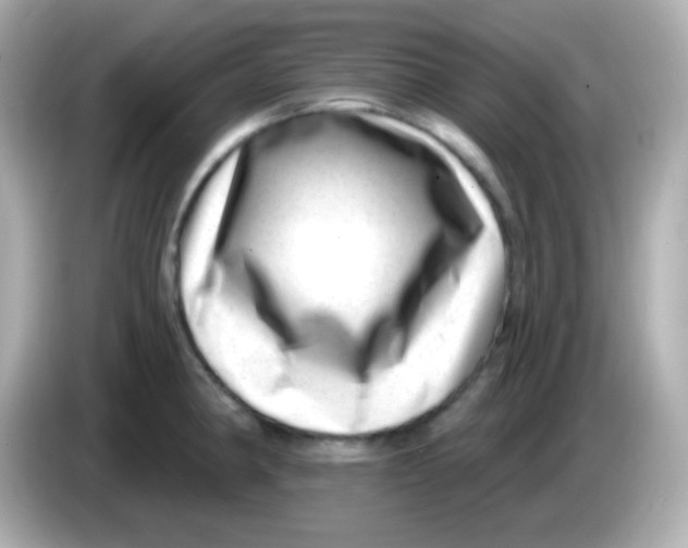 X0000085801190200704091443