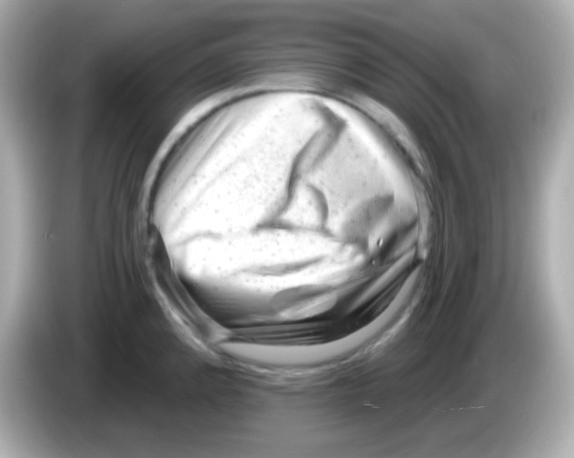 X0000085801192200704091443