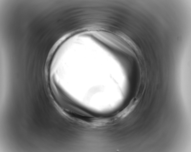 X0000085801196200704091443