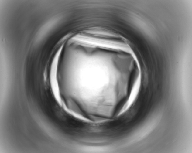 X0000085801198200704091443