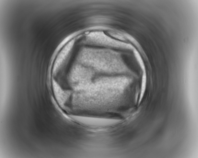 X0000085801199200704091443