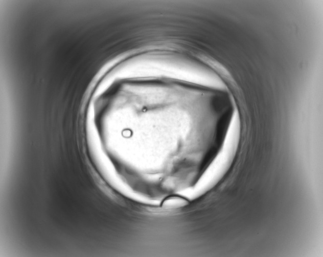 X0000085801200200704091443