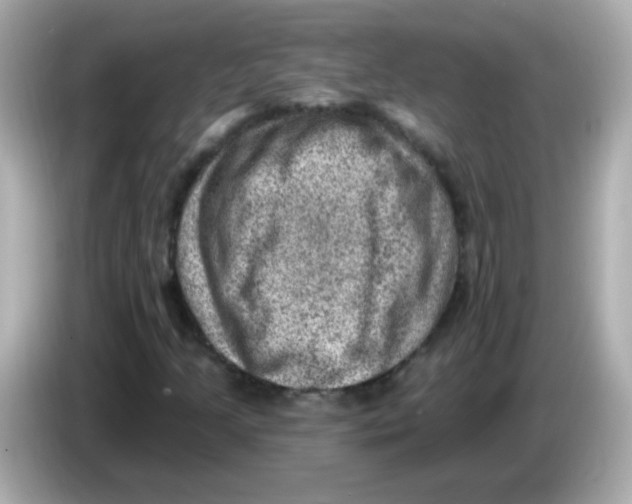 X0000085801205200704091442