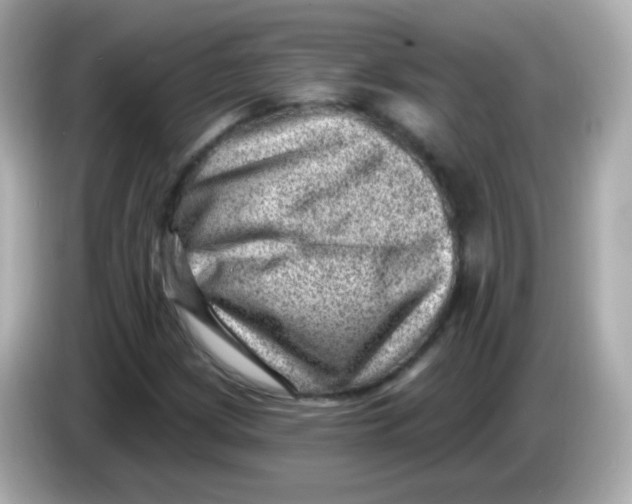 X0000085801209200704091442