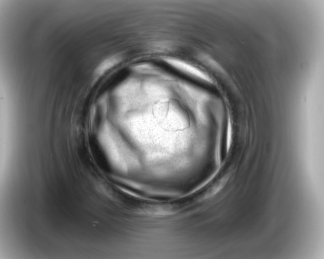 X0000085801210200704091442