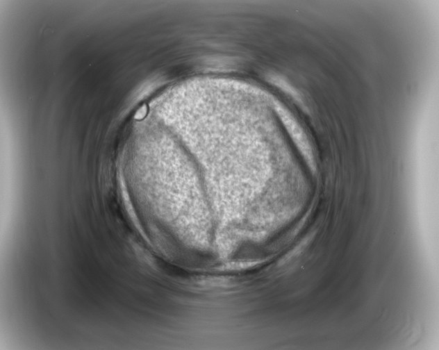 X0000085801211200704091442