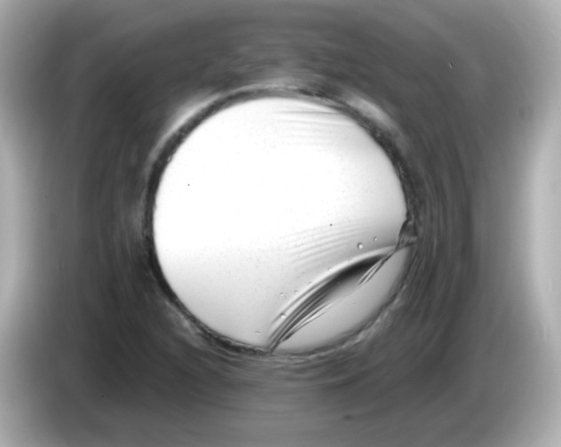 X0000085801216200704091442