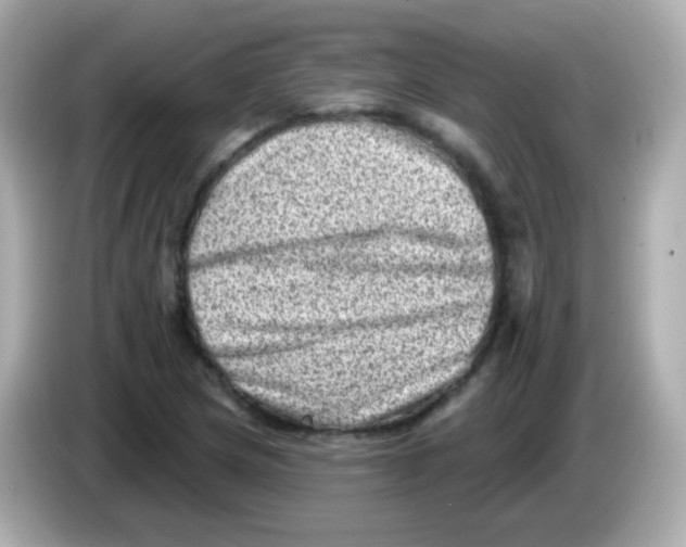 X0000085801217200704091443