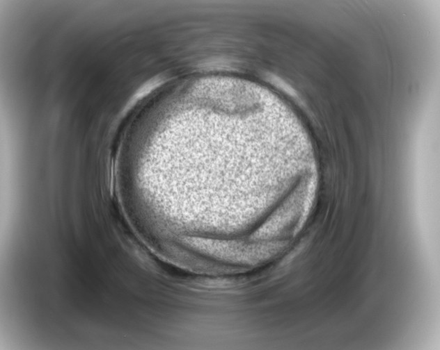 X0000085801219200704091443