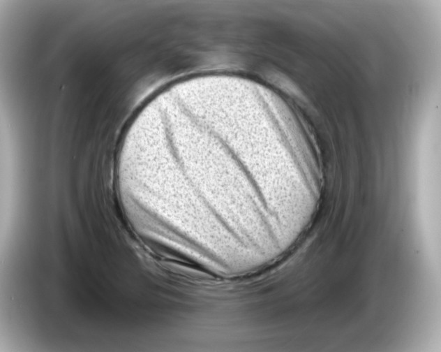 X0000085801220200704091443