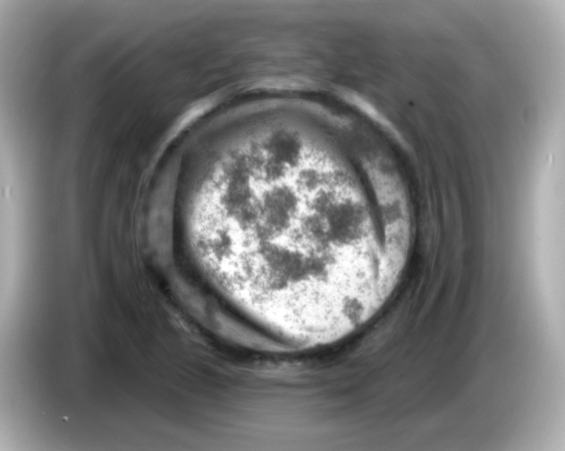 X0000085801221200704091443