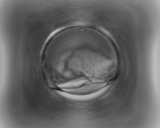 X0000085801222200704091443