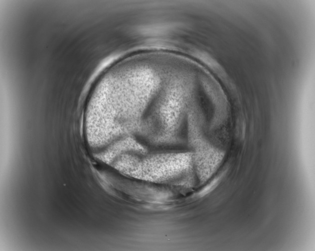 X0000085801224200704091443