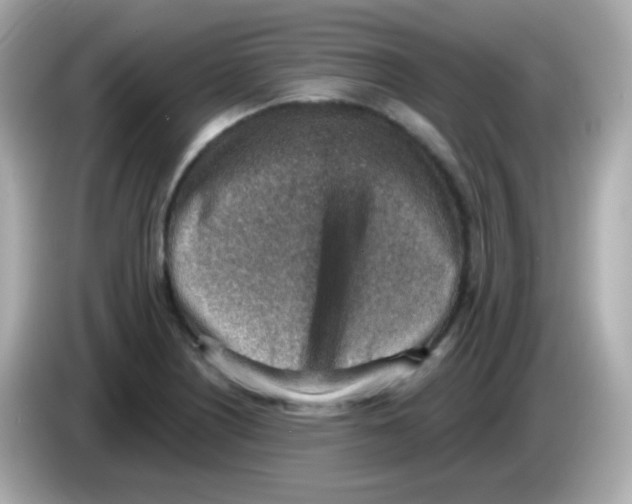 X0000085801226200704091443