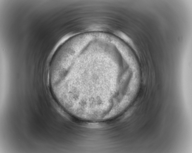 X0000085801227200704091443