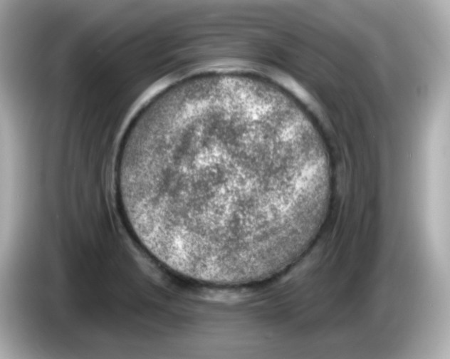 X0000085801229200704091443