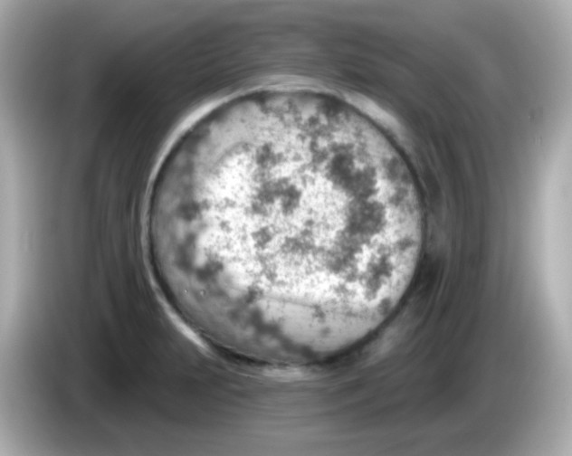 X0000085801231200704091443