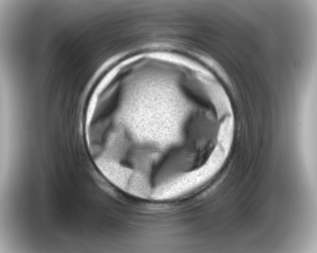 X0000085801232200704091443