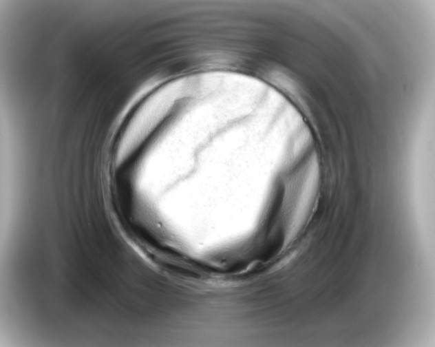 X0000085801235200704091443