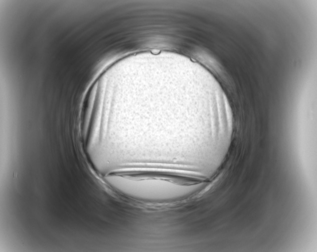 X0000085801236200704091443