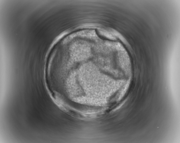 X0000085801237200704091443