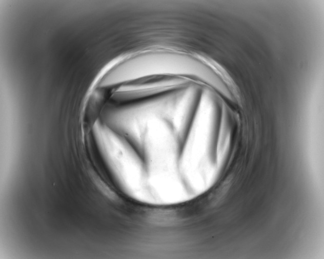 X0000085801238200704091443