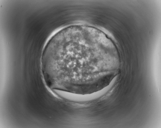 X0000085801239200704091443