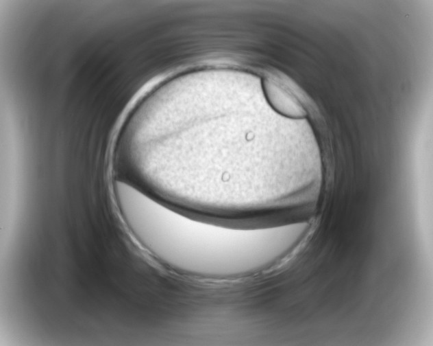 X0000085801240200704091443