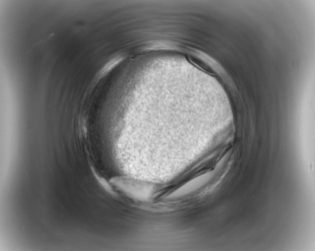 X0000085801241200704091443