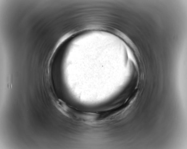 X0000085801242200704091443