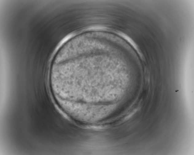 X0000085801245200704091443